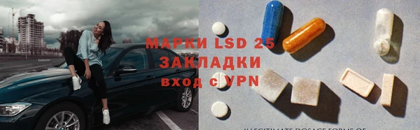 прущие грибы Алексеевка