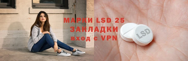 прущие грибы Алексеевка