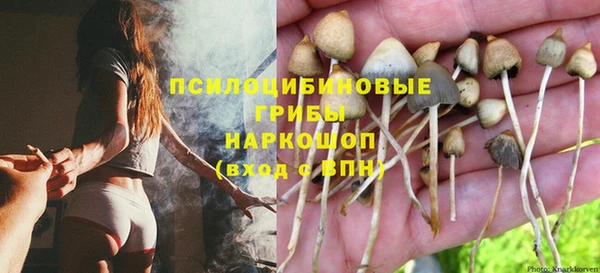 тгк Алзамай