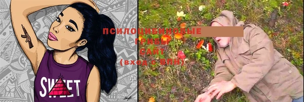 мескалин Алексин