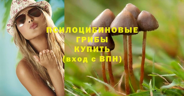 тгк Алзамай