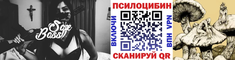 Псилоцибиновые грибы прущие грибы  omg как зайти  Куртамыш 